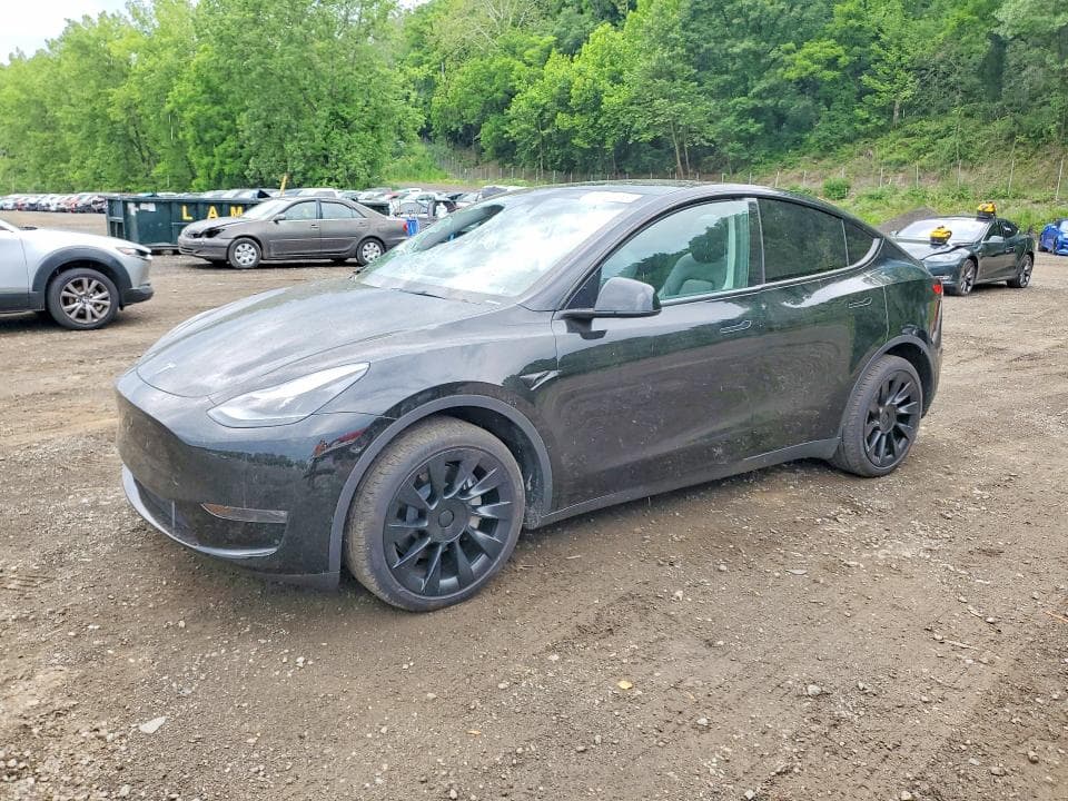 2024 TESLA MODEL Y - 1