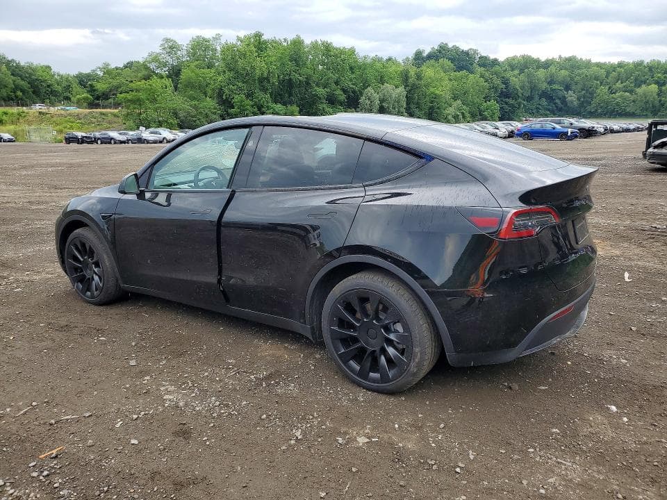 2024 TESLA MODEL Y 2