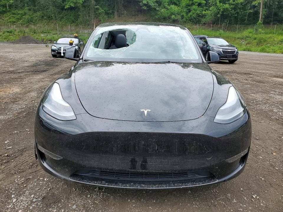 2024 TESLA MODEL Y 5