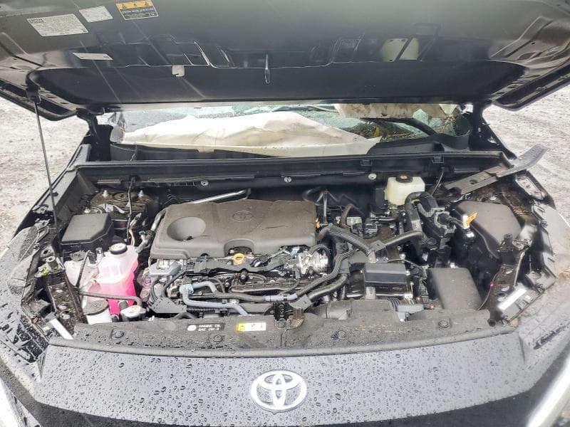 2026 TOYOTA RAV4 XLE PREMIUM 12