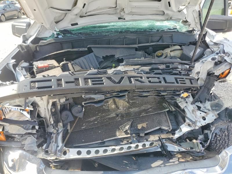 2019 CHEVROLET SILVERADO C1500 C1500 11
