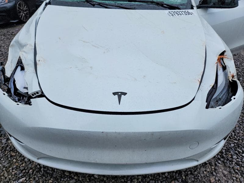 2024 TESLA MODEL Y 12