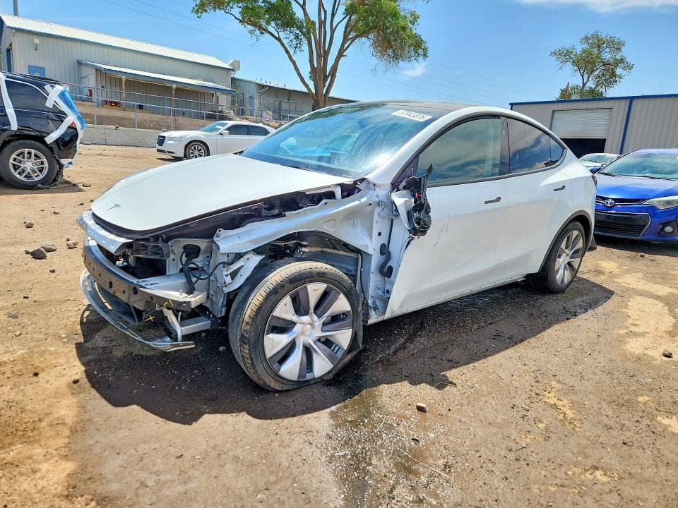 2024 TESLA MODEL Y