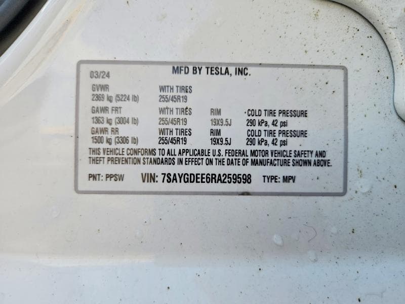 2024 TESLA MODEL Y 13