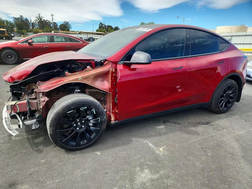 2024 TESLA MODEL Y - 1
