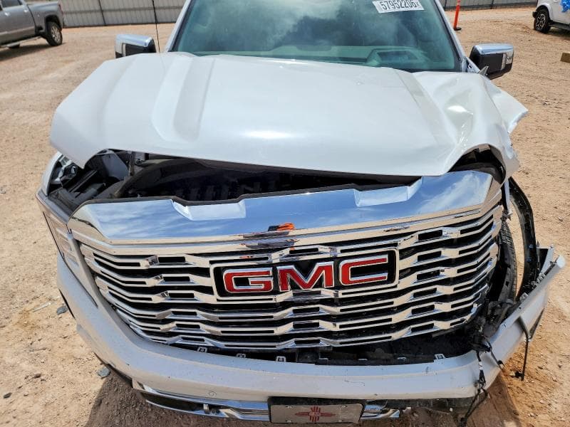 2025 GMC SIERRA K1500 DENALI 11