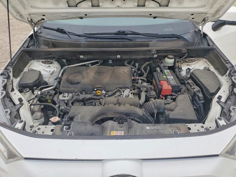 2019 TOYOTA RAV4 XLE XLE 12