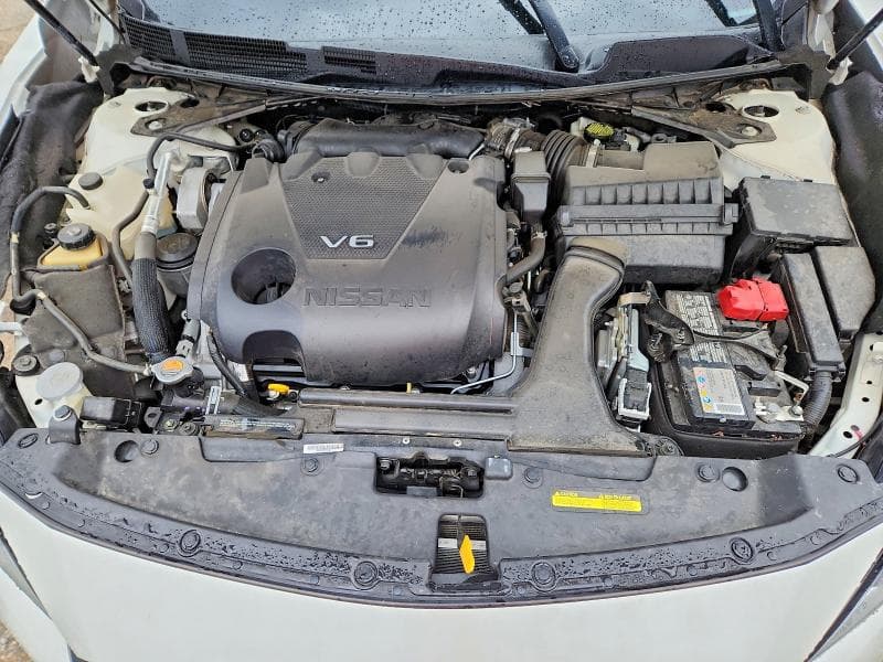 2021 NISSAN MAXIMA SR SR 11