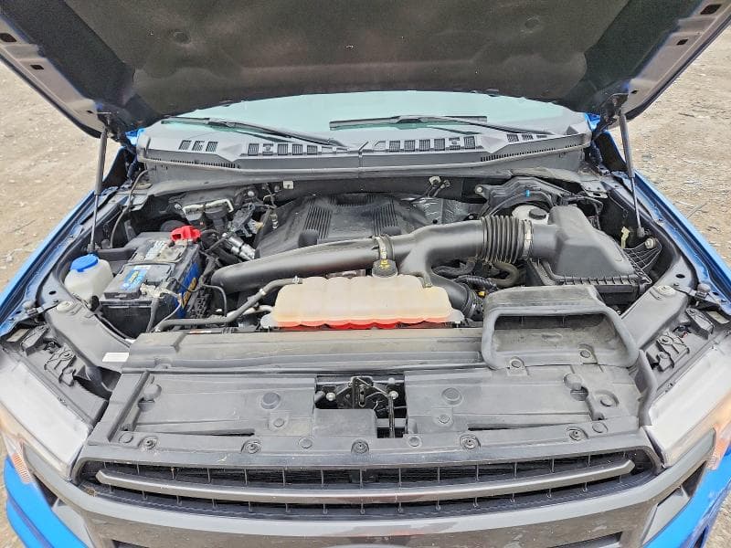 2019 FORD F150 11
