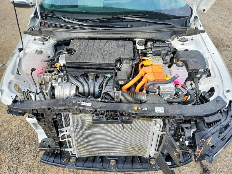 2026 HYUNDAI ELANTRA 11