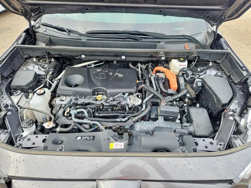 2024 TOYOTA RAV4 XSE 12