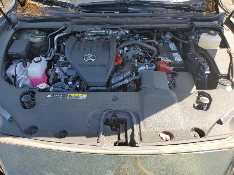 2025 LEXUS RX 350 PREMIUM 12