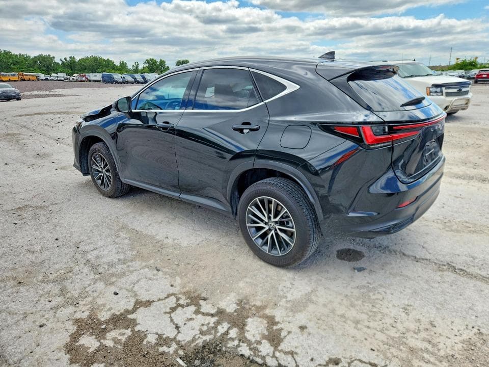 2024 LEXUS NX 350 PREMIUM 2