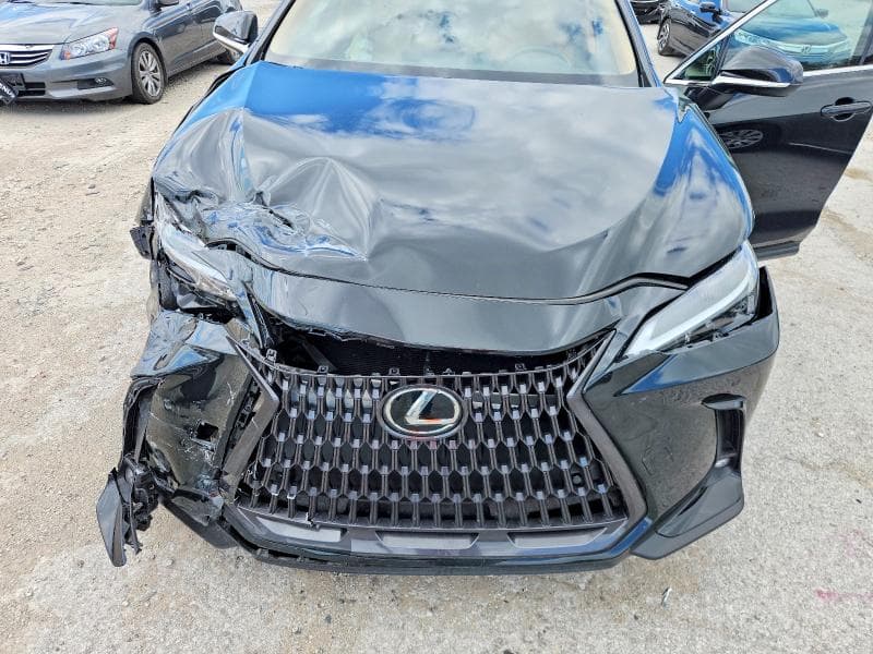 2024 LEXUS NX 350 PREMIUM 12