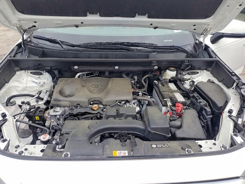 2024 TOYOTA RAV4 XLE XLE 13
