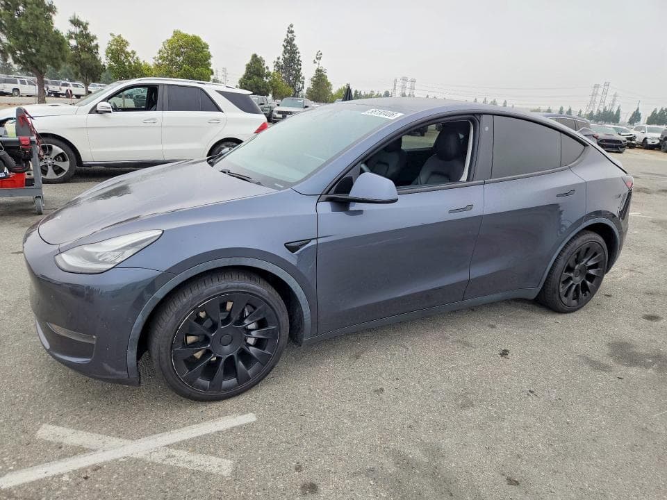 2020 TESLA MODEL Y 1