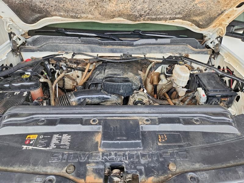 2019 CHEVROLET SILVERADO 11