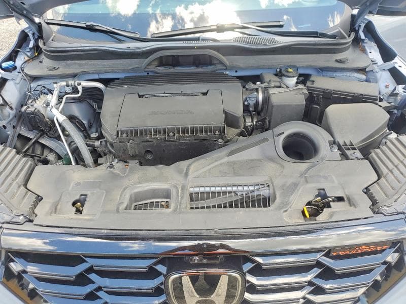 2025 HONDA PILOT TRAILSPORT 12