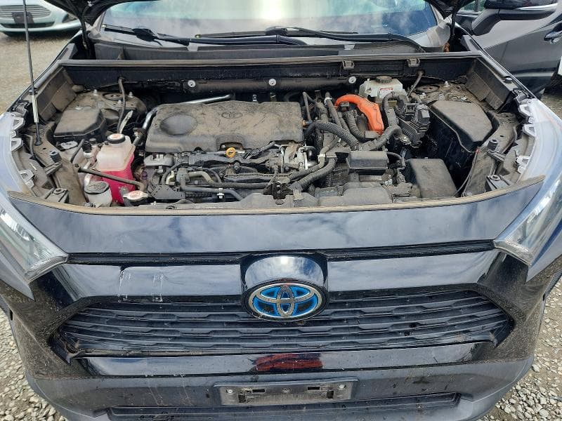 2019 TOYOTA RAV4 LE LE 12