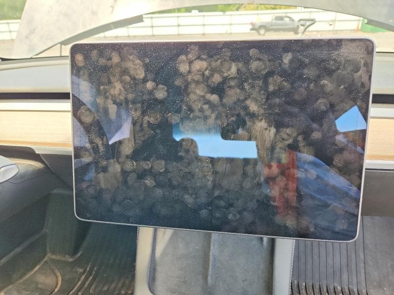 2021 TESLA MODEL 3 9