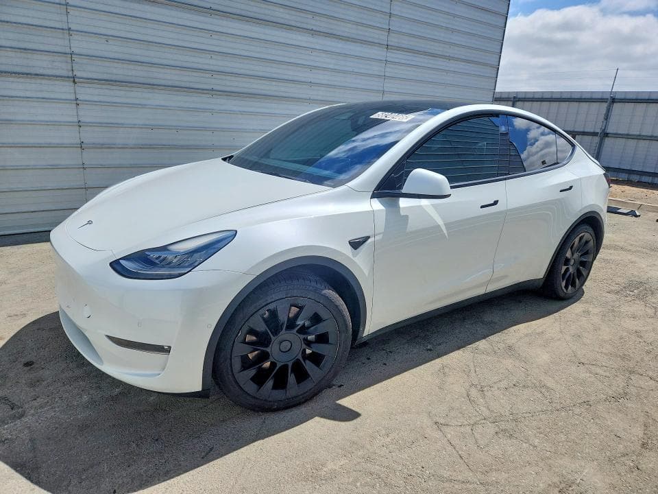 2021 TESLA MODEL Y - 1