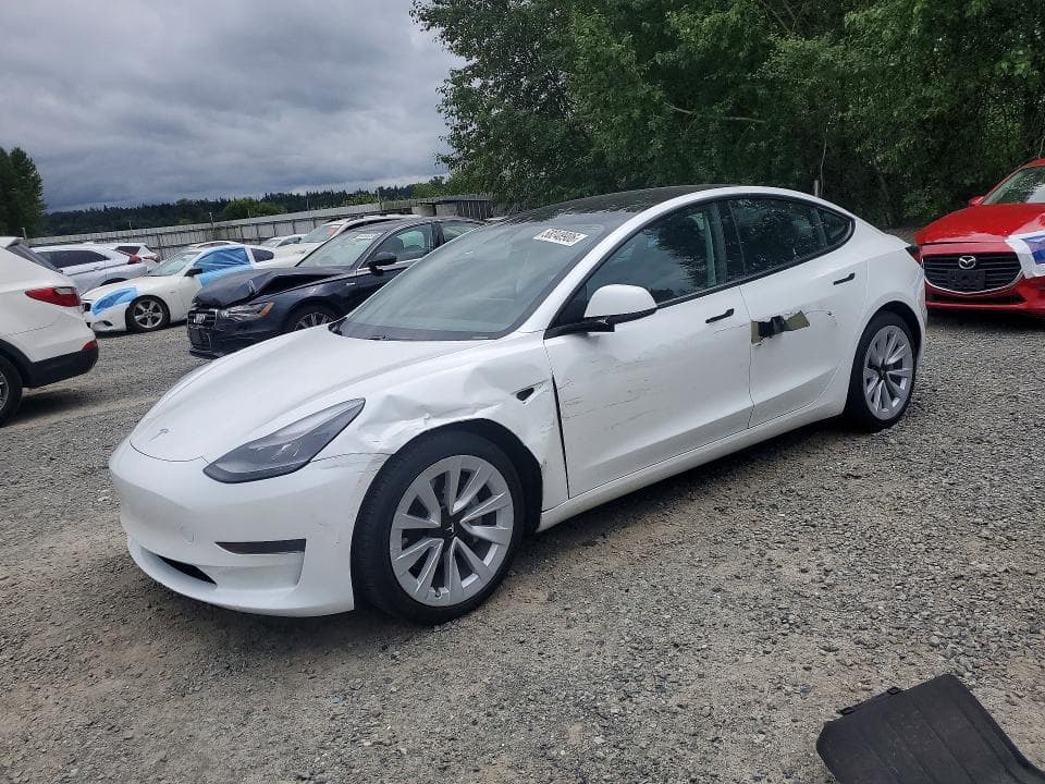 2021 TESLA MODEL 3 - 1