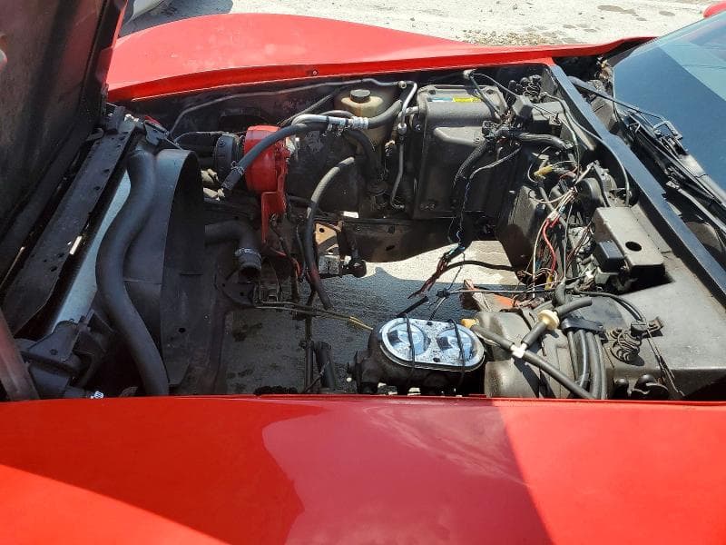 1981 CHEVROLET CORVETTE 11