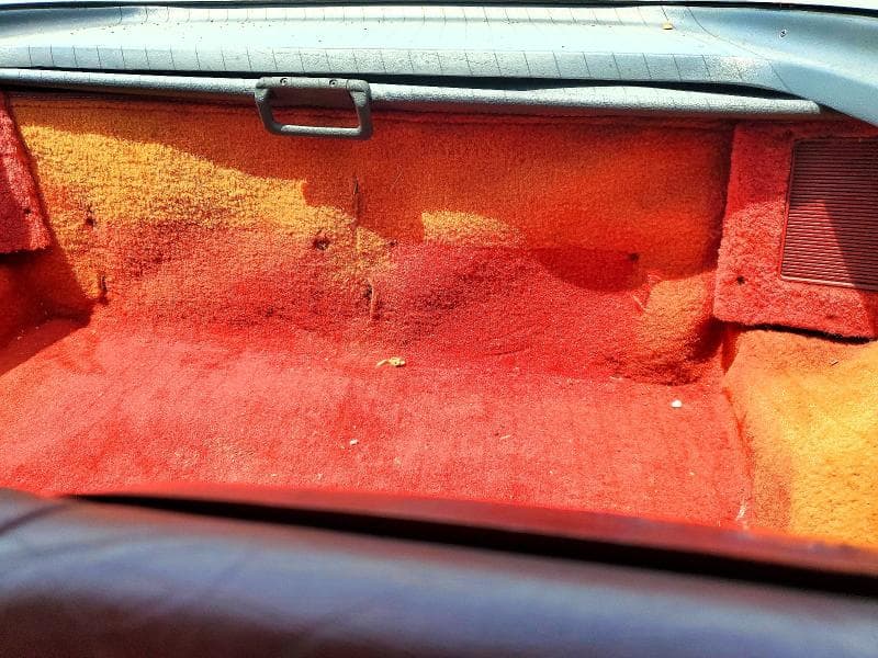 1981 CHEVROLET CORVETTE 10