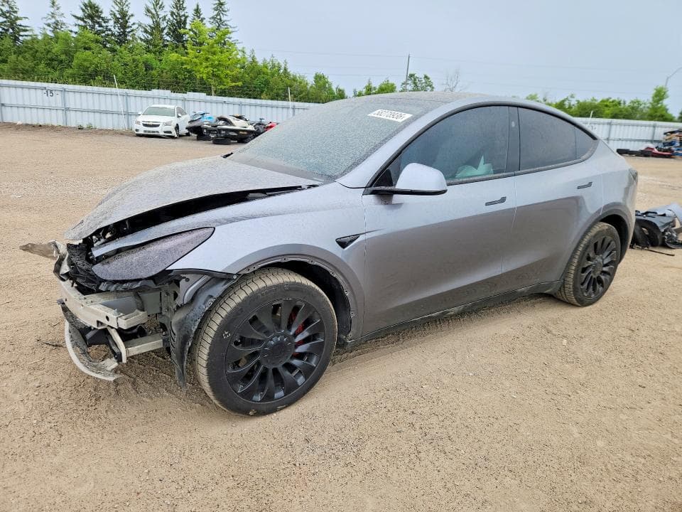 2024 TESLA MODEL Y
