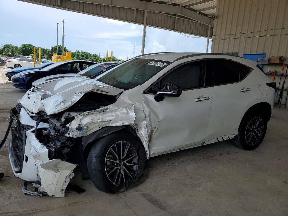 2024 LEXUS NX 250 BASE - 1