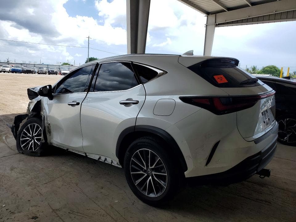2024 LEXUS NX 250 BASE 2
