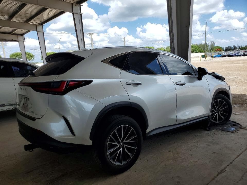 2024 LEXUS NX 250 BASE 3