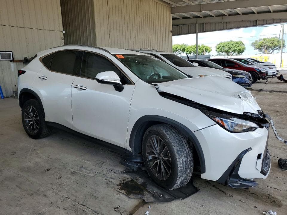 2024 LEXUS NX 250 BASE 4