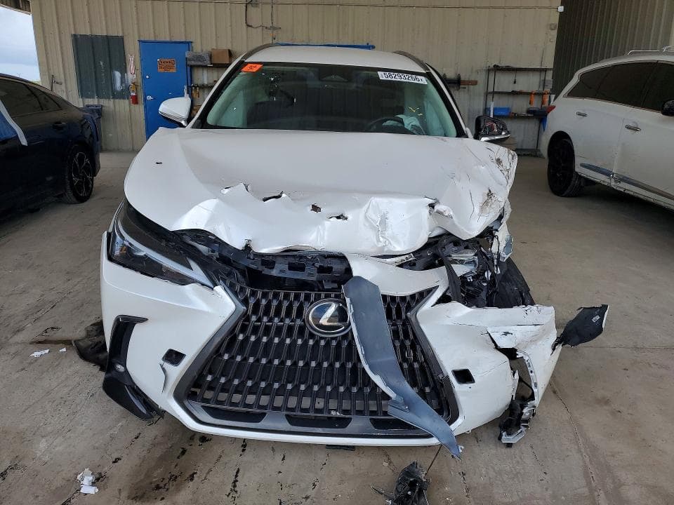 2024 LEXUS NX 250 BASE 5