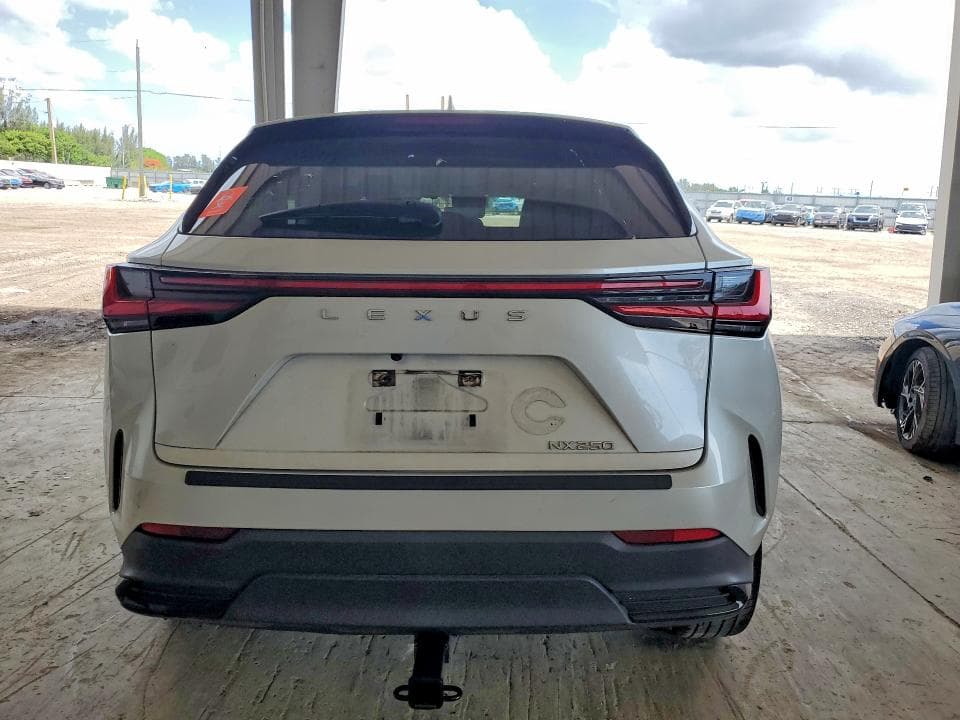 2024 LEXUS NX 250 BASE 6