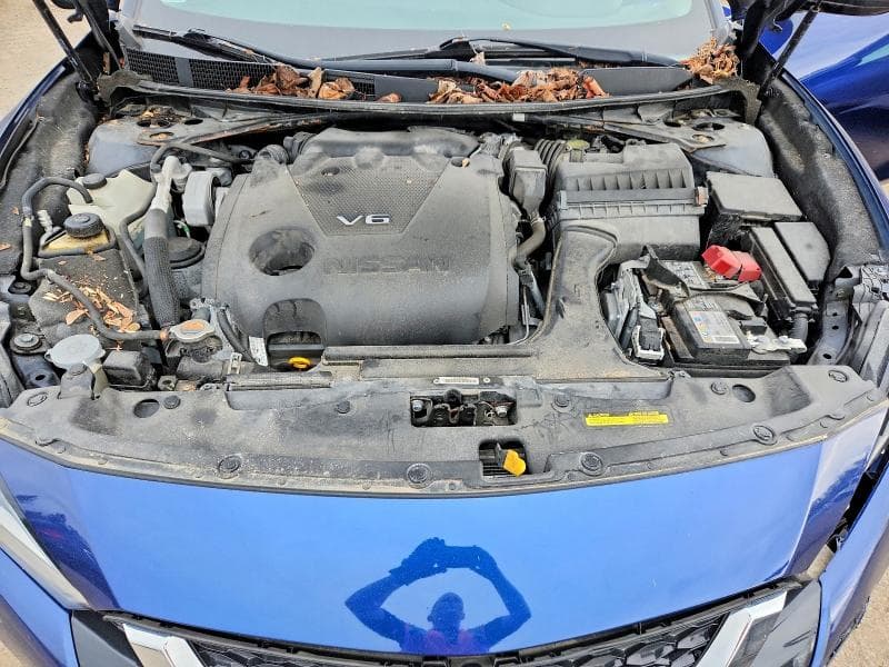 2021 NISSAN MAXIMA SL SL 12
