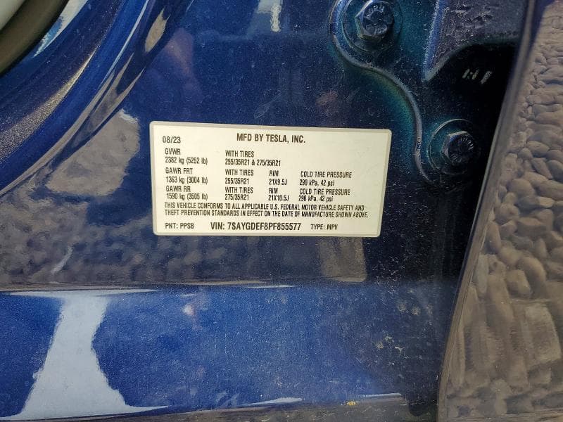 2023 TESLA MODEL Y 13