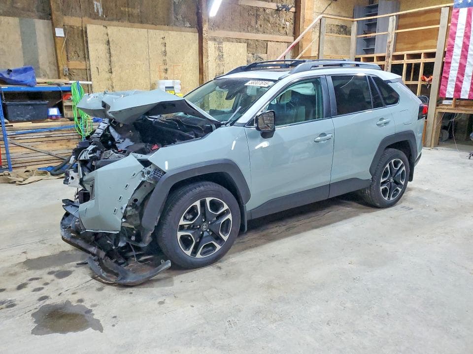 2019 TOYOTA RAV4 ADVENTURE - 1