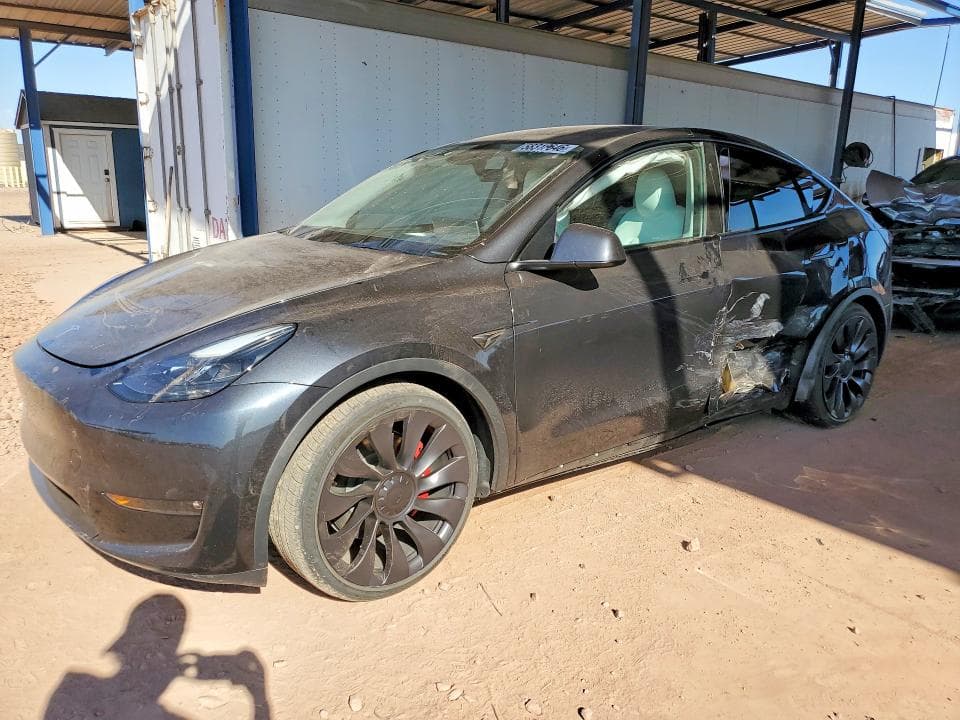 2024 TESLA MODEL Y - 1