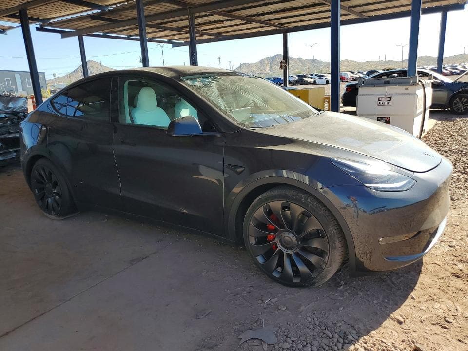 2024 TESLA MODEL Y 4
