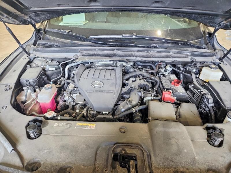 2025 LEXUS RX 350 350 11