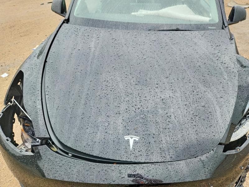 2025 TESLA MODEL Y 11