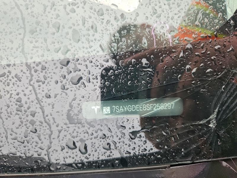 2025 TESLA MODEL Y 12