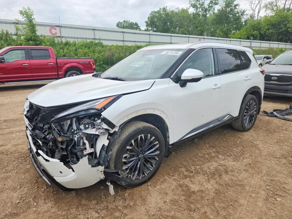 2025 NISSAN ROGUE PLATINUM - 1