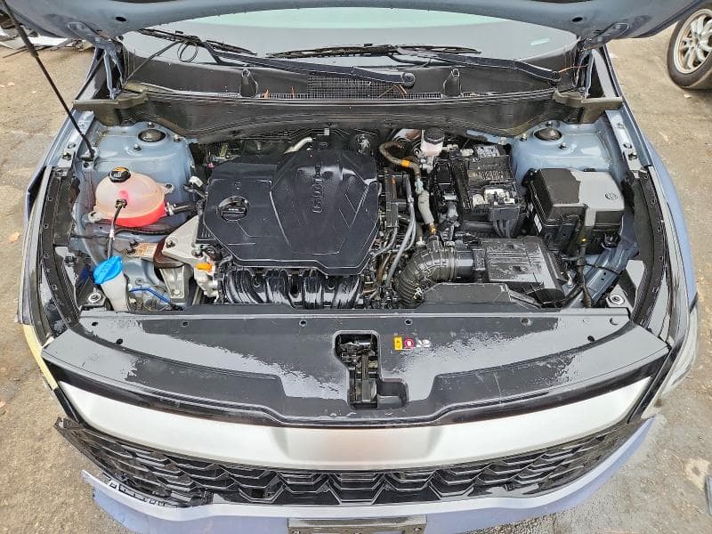 2024 KIA SPORTAGE EX 12