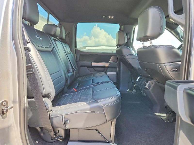 2025 FORD F150 PLATINUM PLATINUM 10