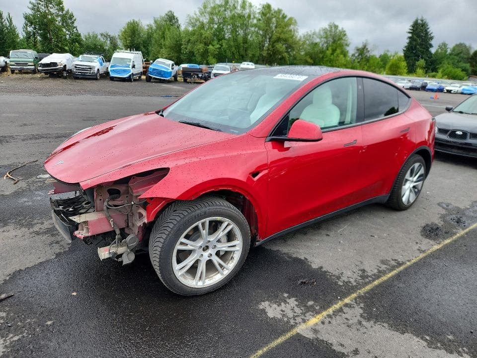 2021 TESLA MODEL Y - 1