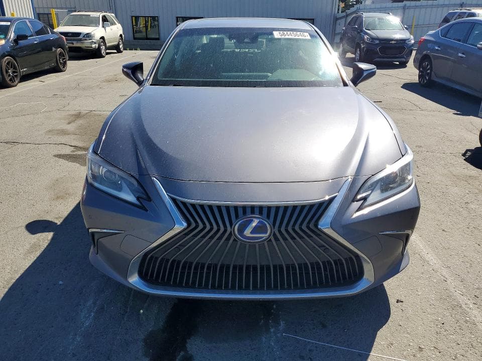 2019 LEXUS ES 300H 5
