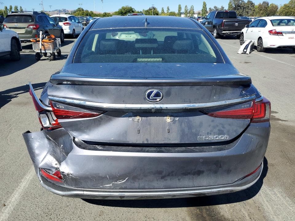 2019 LEXUS ES 300H 6