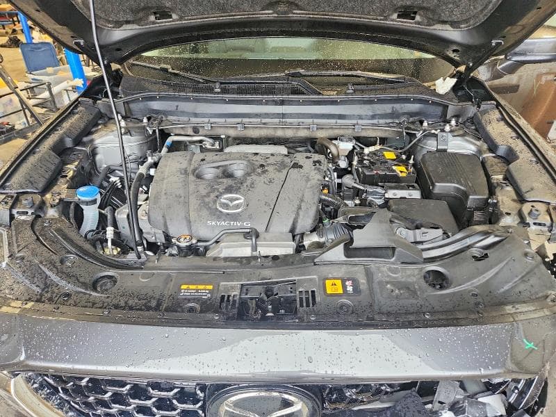 2025 MAZDA CX-5 SELECT 12